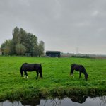 Photo by Cees Meeldijk (@CeesMeeldijk)