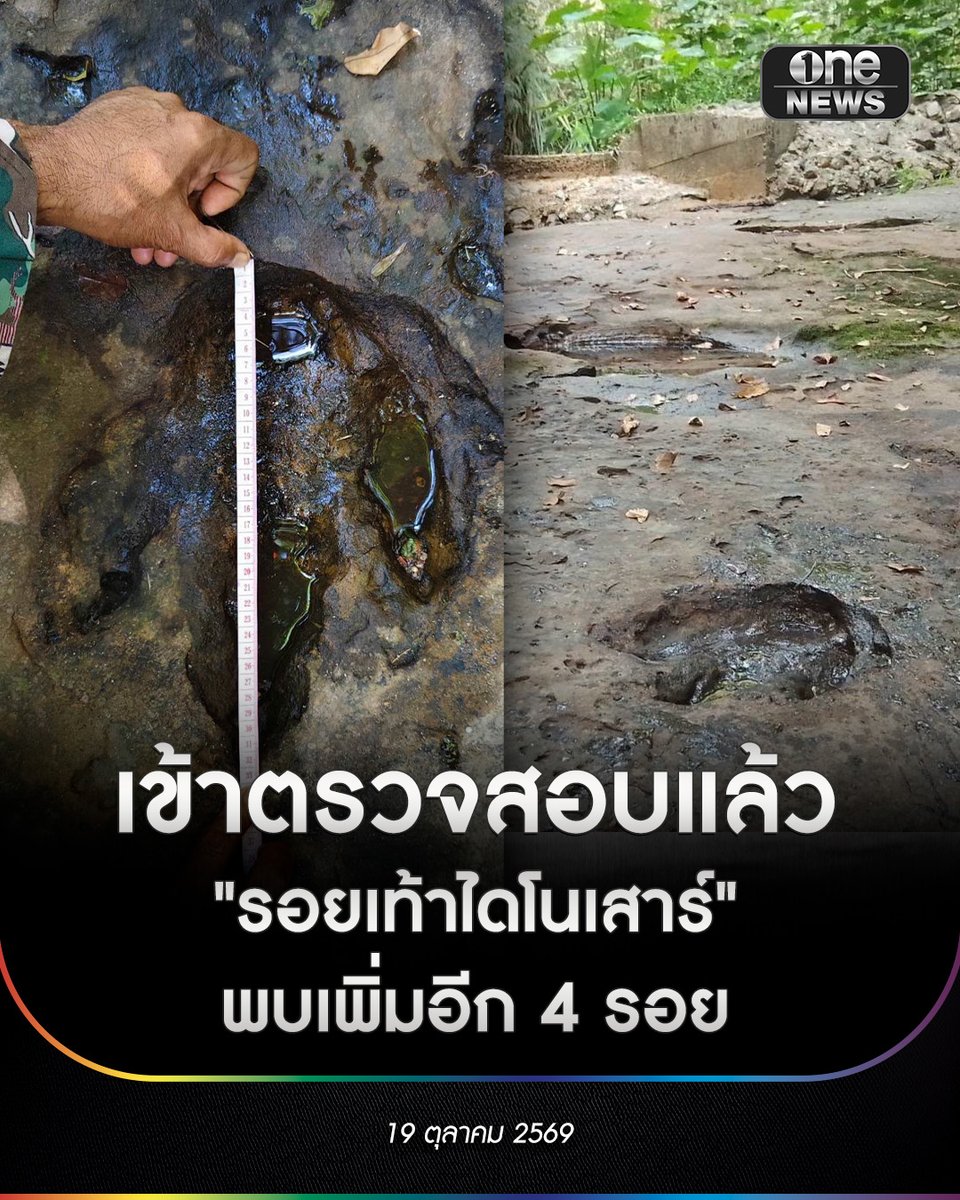 onenews31 tweet picture