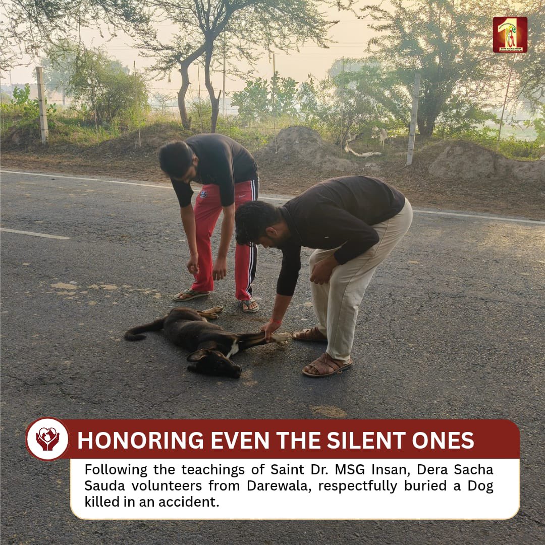 DSSNewsUpdates's tweet photo. इंसानियत की पहचान सिर्फ जीवित प्राणियों की सेवा से नहीं, बल्कि उनके जाने के बाद भी सम्मान देने से होती है। 🐾

पूज्य पिताजी Saint Dr. Gurmeet Ram Rahim Singh Ji Insan की पावन शिक्षाओं पर चलते हुए ब्लॉक दारेवाला के सेवादारों ने सड़क पर मृत पड़े एक बेजुबान कुत्ते को मिट्टी में दफनाकर इंसानियत और करुणा की सुंदर मिसाल पेश की।

जिस बेजुबान के दर्द को शब्द नहीं मिल सकते, उसके प्रति ऐसा सम्मान दिखाना भी सच्ची मानवता है।

हर जीव के प्रति दया, प्रेम और सम्मान — यही सच्ची इंसानियत का संदेश है।

[Animal Welfare, Compassion For Animals, Dera Sacha Sauda, Saint Dr MSG, Humanity First, Serving Humanity, Kindness Matters, Selfless Service, Animal Care, ram rahim, baba ram rahim, gurmeet ram rahim singh]
