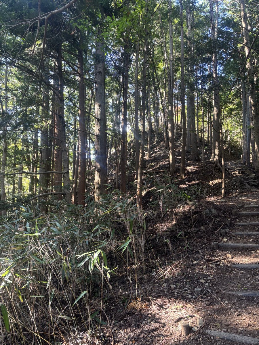 ataichan42's tweet photo. 山道を進んでると
今回の長雨や台風でなのか道が荒れてました。
落石跡がちょこちょこあったね https://t.co/qxvaEslcgP
