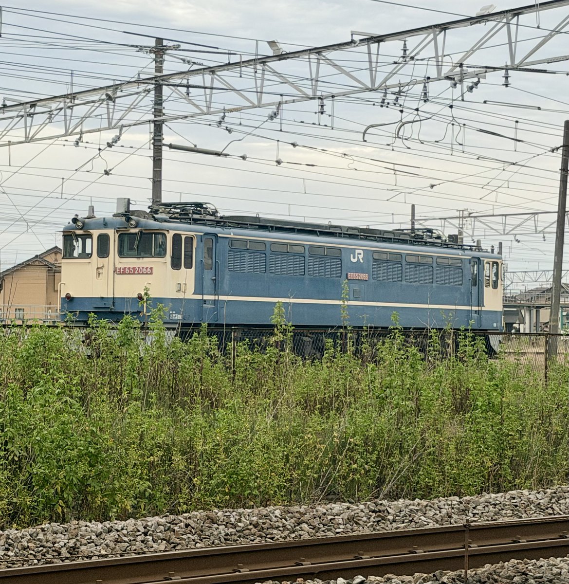 SgO9b's tweet photo. 少し色褪せた気がするEF65 2066

#pf型
#ef65
#電気機関車
#高崎機関区 https://t.co/TZcGVn8H6v