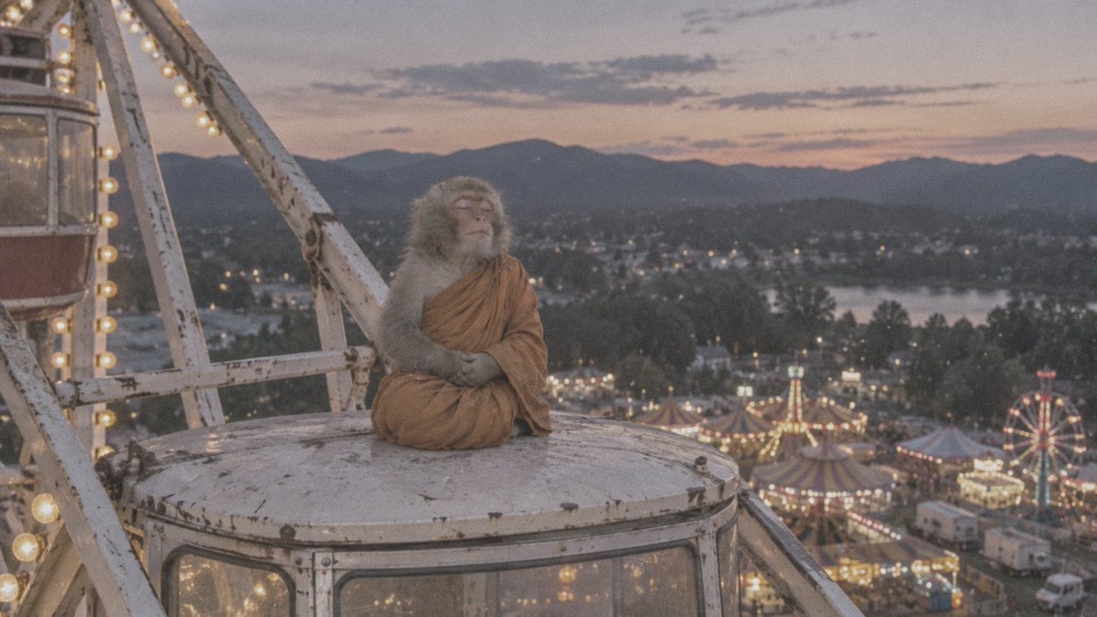 MONK_EVM tweet picture