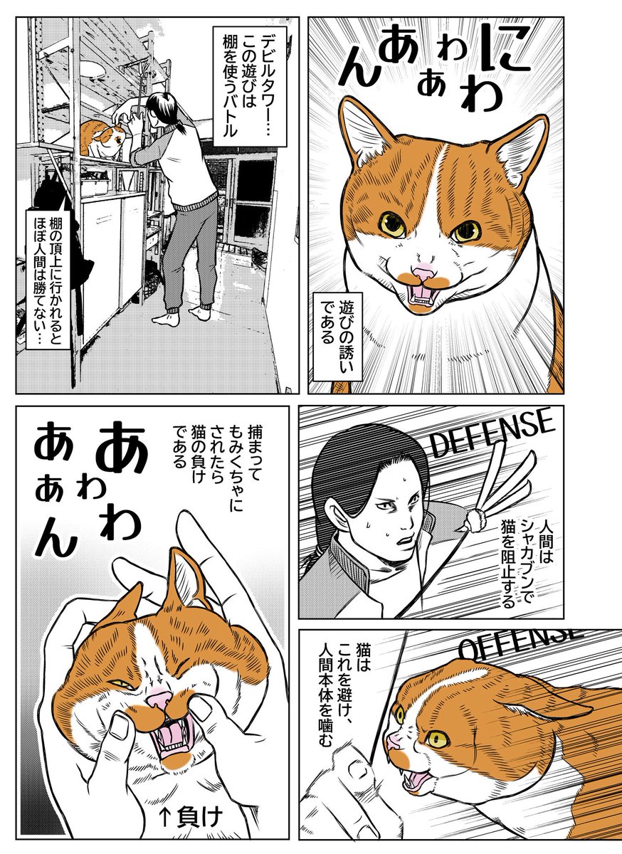wako_kinyousya tweet picture
