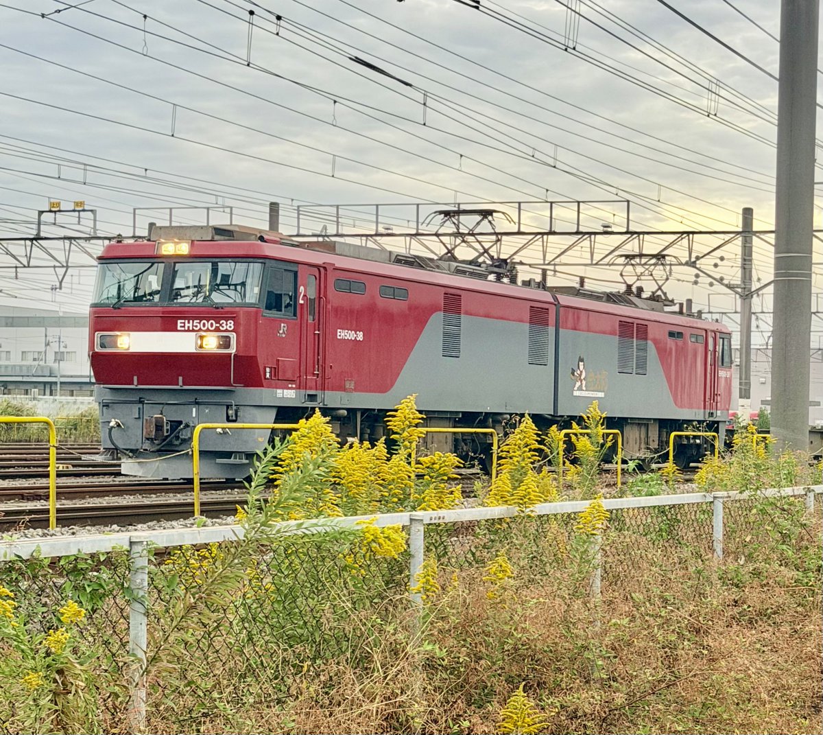SgO9b's tweet photo. JR貨物の顔ともいえるような電気機関車三兄弟📸

#貨物列車
#電気機関車
#高崎機関区 https://t.co/yWlKrAd2Lt
