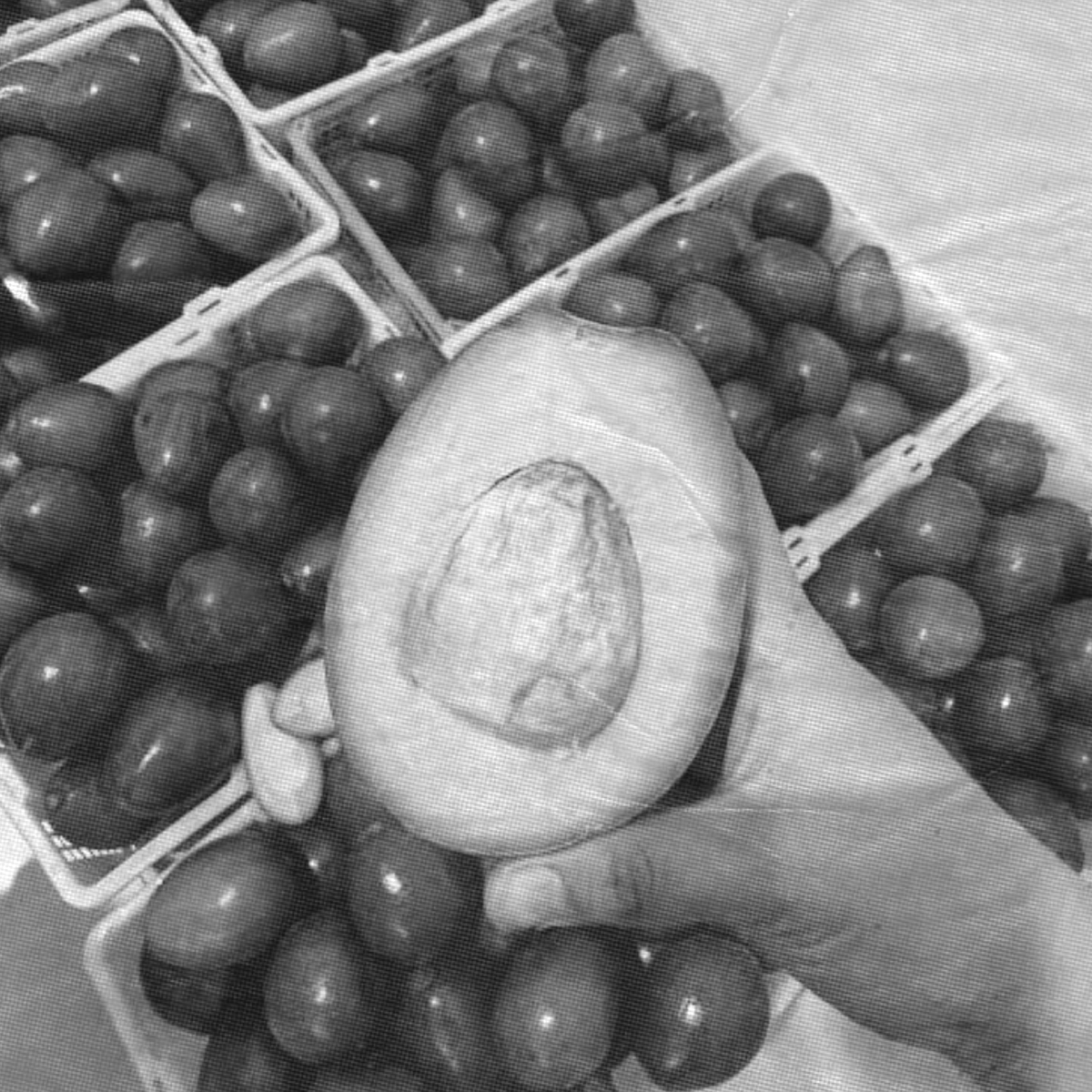 ripensoul_X's tweet photo. [ PENCARIAN KAWAN BARU ]
 
Namanya Zufar, tani kota yang suka ngoprek zine dan musik protes. Baru panen sayur-mayur. Oh ya, alpukat cipedaknya juga matang-matang. 

Mari tinggalkan sapaan atau pesanan sayur dan alpukat buat berinteraksi! 

(Cuit ulang sangat diapresiasi!) https://t.co/EqISc0vxTy