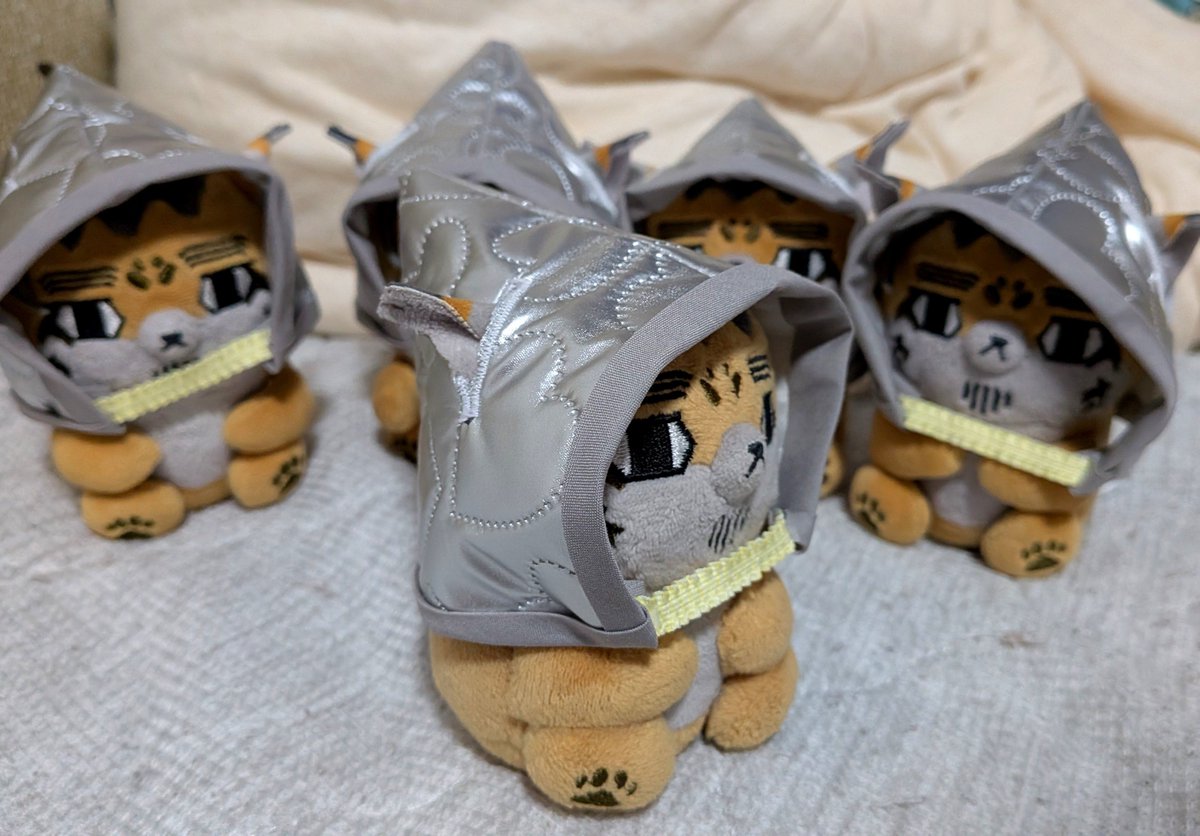 oteeeei's tweet photo. ほぜちゃんたち、「もしも」に備えて訓練中！
🐱まず、いっかしょにあつまるなの
🐱おちつくなの
🐱げんきに、てんことるなの
🐱はぐれないようにするなの
🐱おやつ、わすれちゃダメなの

ちゃんとお耳も出せるようにしたからね https://t.co/D6lvrbwXWj