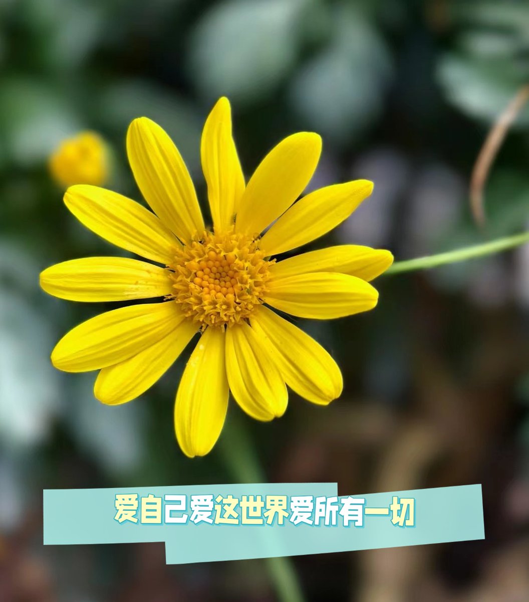 RdTaiguer's tweet photo. [这几个字不是英文，无法生成符合要求的英文推文，请检查内容是否正确]， https://t.co/sc0tAXv1pj