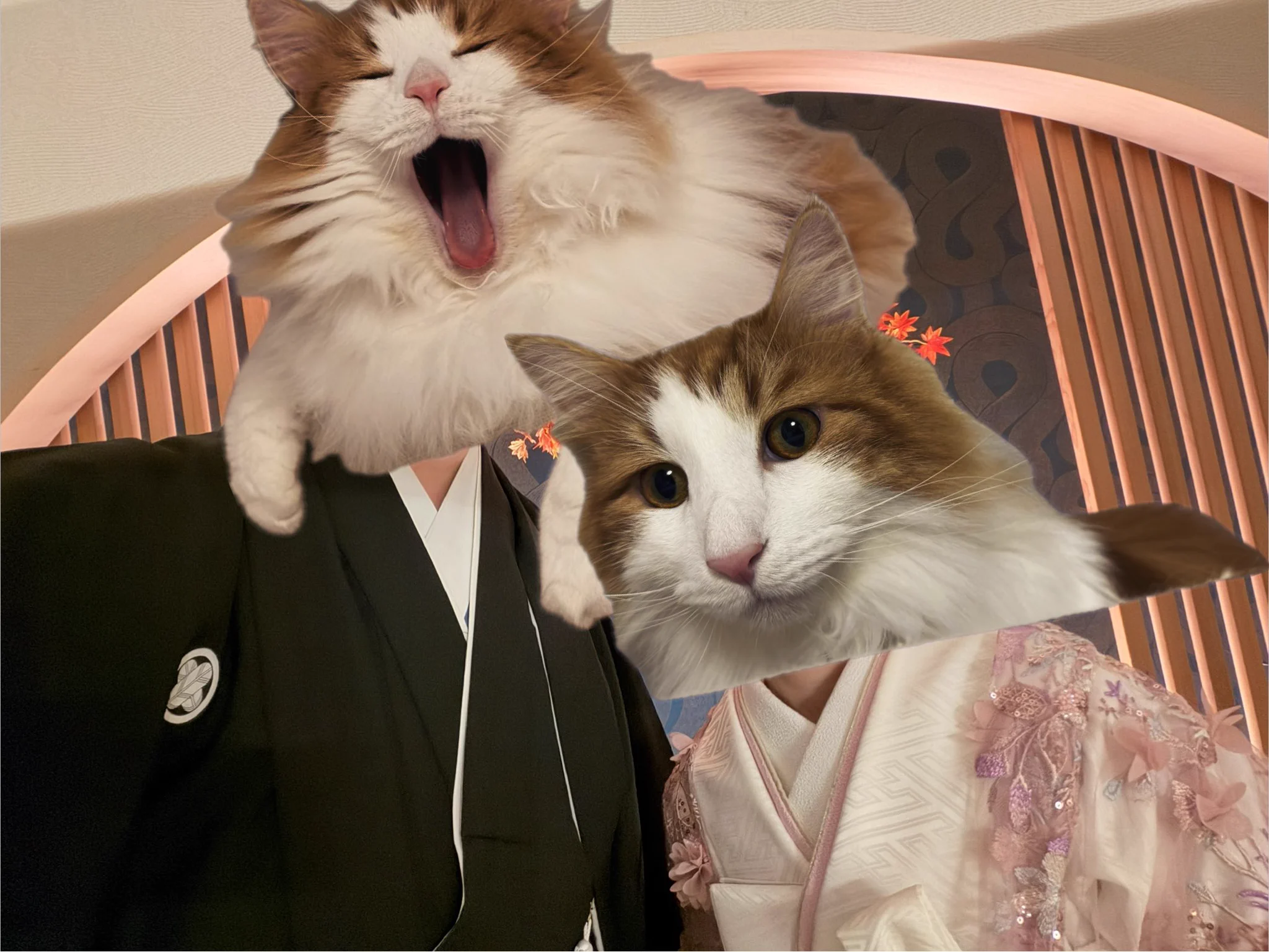 あくせ on X: 