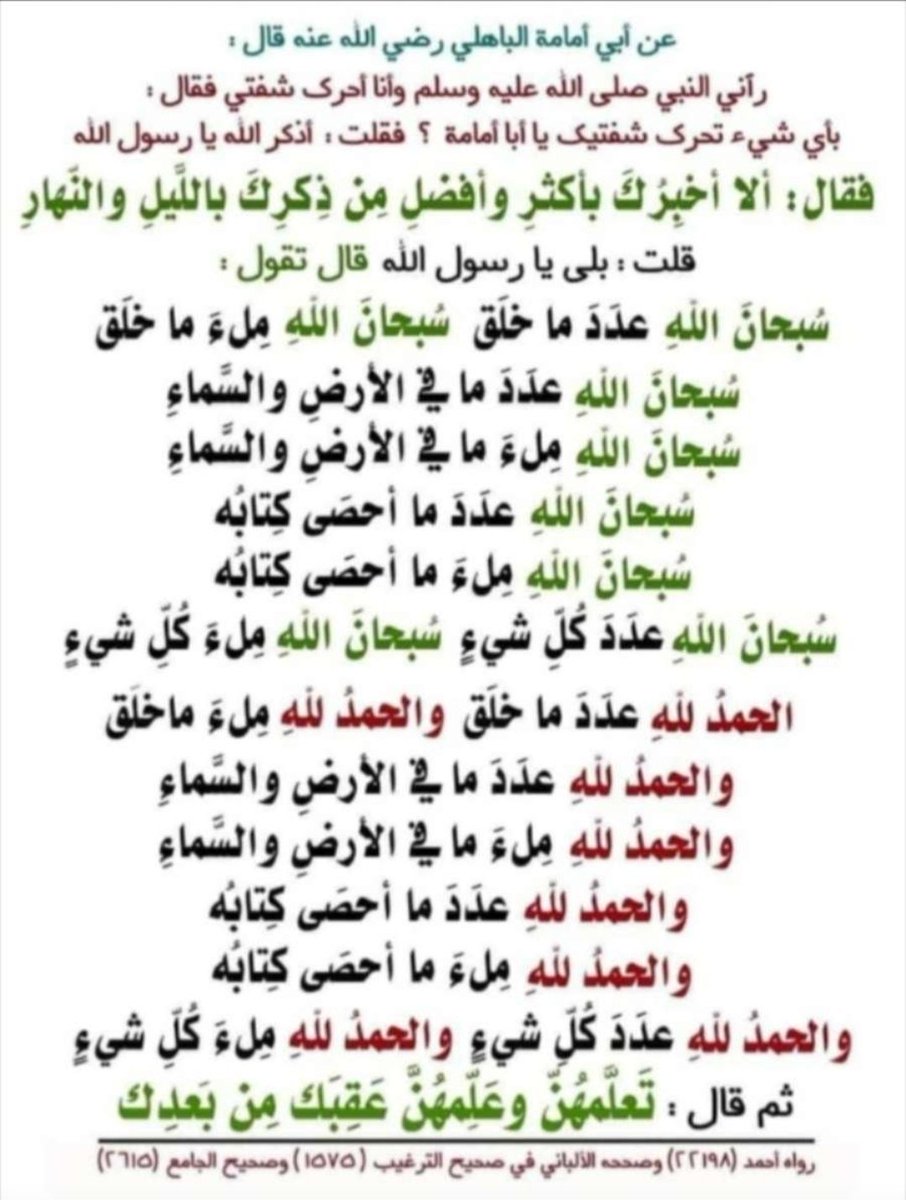 mgzool0707 tweet picture