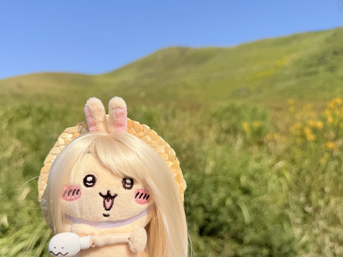 urayaha01's tweet photo. #今日のファサ子 https://t.co/KMPAkGwDVH