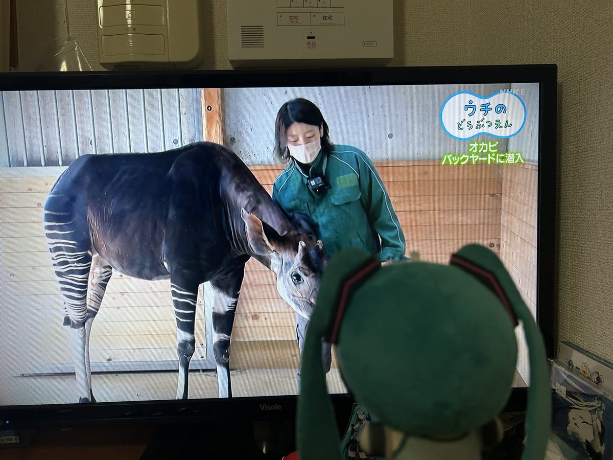 djsmith_4889's tweet photo. 沼ハマ待機 https://t.co/CD0m7jBI7q