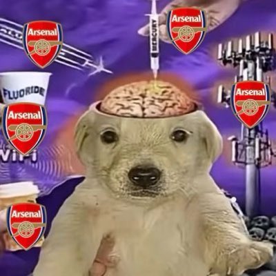 ricenalfc's tweet photo. GOOD MORNING OOMFS ARTETABALL TOMORROW https://t.co/7vE8XSuXRF