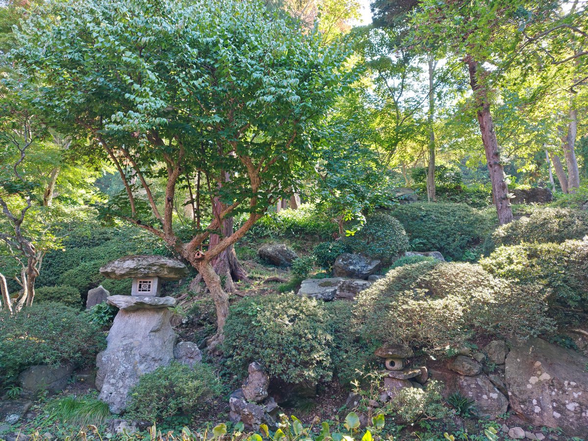 Joshu_miyoshi's tweet photo. 岩松院凄かった〜
北斎の天井画の鳳凰。実物はヤバい。。めっちゃ綺麗。ほんとに縁起が良くなると思う。そう思わせる迫力でした。
福島正則のお墓や、一茶の痩せがえるの句の池も見られて良かったです😊 https://t.co/2CaXNfa02N