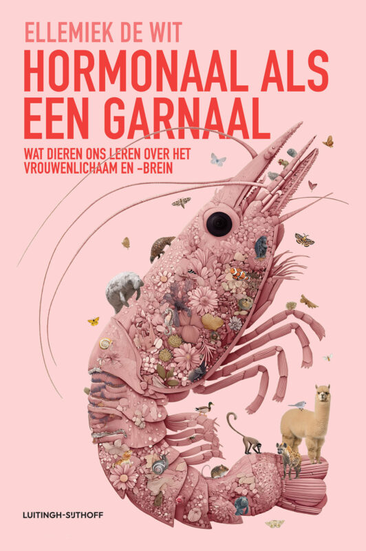 PeriodMagazine's tweet photo. Win het intrigerende boek: Hormonaal als een garnaal. Bijna geen ander zoogdier wordt #ongesteld. Dus waarom menstrueren wij eigenlijk? Mail voor 20/10 en win! https://t.co/1oJqIoq4zO https://t.co/5mn36Ehqka