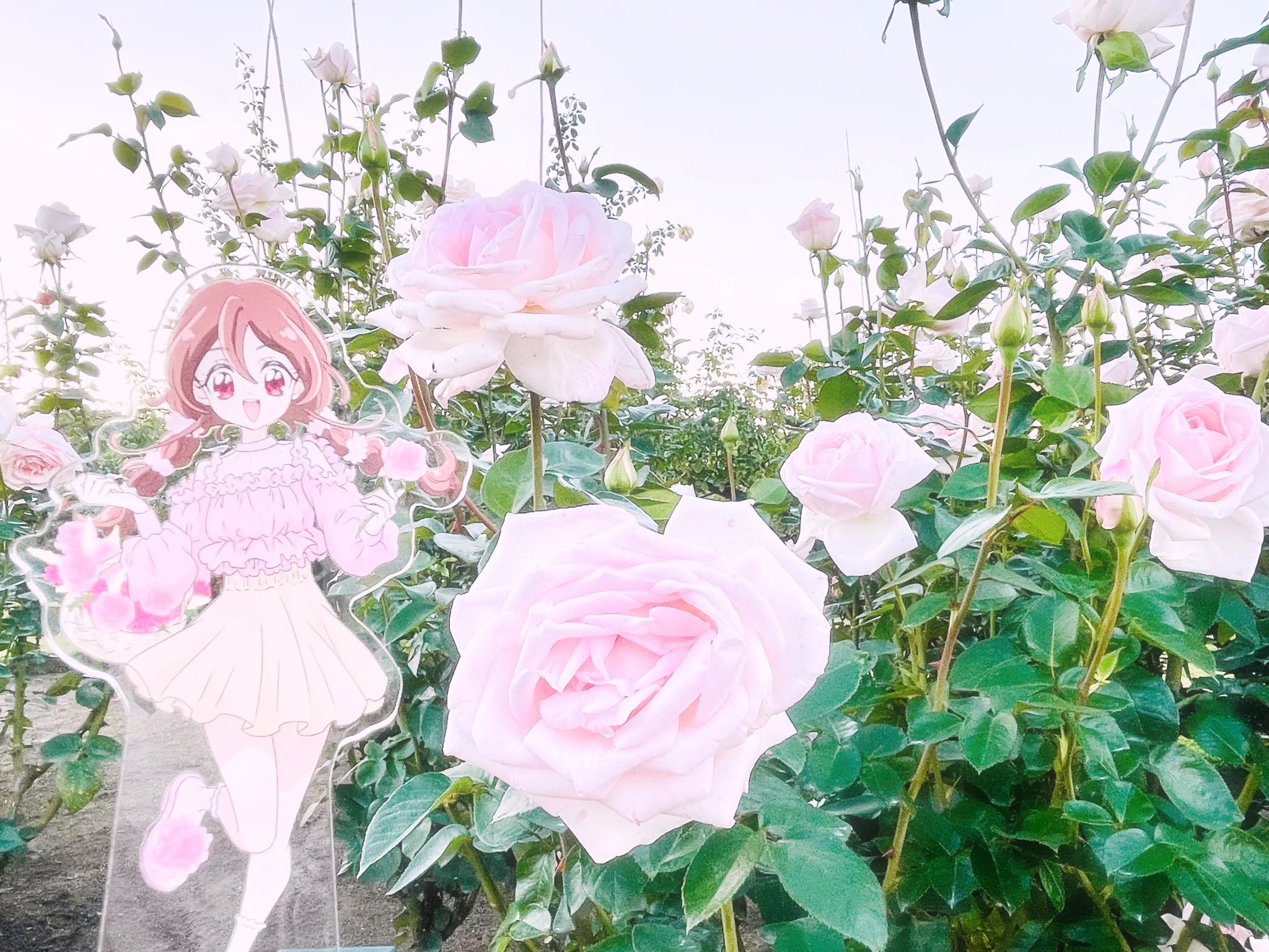 あめさん専用ページ あめ on X: 