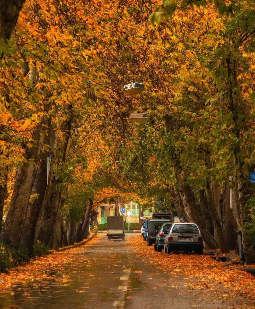 Ziton_99's tweet photo. معرفی میکنم؛ بهشتی به نام محلات...😍

#ایران_جان
#مرکزی_ایران https://t.co/s8c5VATyIA