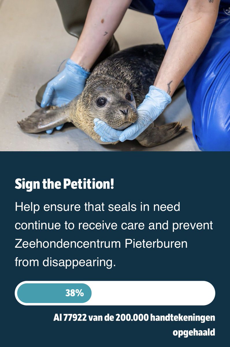 Seallover_Emily's tweet photo. 【署名活動の経過報告🦭】

2日ぶりに署名の状況を見に行ったら、達成率が 38％ まで上がっていました！

なんと、2日前の倍以上に！
署名してくださった皆さん、拡散してくださった皆さん、本当にありがとうございます。

ただ、目標達成まではまだ道半ば。少し勢いが落ち着いてきたようにも感じます。

アザラシ幼稚園がこれからも傷ついたアザラシたちを保護し、回復した子たちを野生へ返していけるように。
この施設が必要だという声を、署名を通じてオランダ政府に届けることが大切です。

まだ署名されていない方は、ぜひご協力をお願いします。
そして、周りの方への拡散も引き続きよろしくお願いします！

✍️ 署名の方法
名前・苗字・メールアドレス・国名などを入力します。国名は英語表記で入力してください。
連絡先欄は任意なので、空欄でも大丈夫です。

署名完了後に寄付ページへ移動しますが、寄付は任意です。寄付をしない場合は、そのままページを閉じて問題ありません。

一人ひとりの声が、支援につながる力になります。
引き続きよろしくお願いします！🦭

#SaveWec