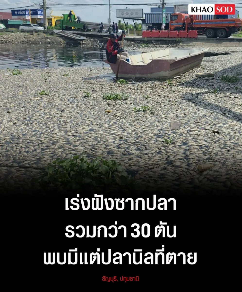 TarotYouuuu's tweet photo. มึง อย่าปล่อยให้เรื่องนี้เงียบไป น้ำท่วมรังสิต ปทุมธานี น้ำเสียปลาตายหมดแล้ว มีแต่ปลานิลเท่านั้นที่ตาย ปลาหมอคางดำยังอยู่ดี รัฐบาลไม่สนใจปัญหานี้เลย ทุกคนเดือดร้อนหมดแล้วนะ แย่มากจริงๆ !!!!

#โหนกระแส  #น้ำท่วม https://t.co/qiLciJzdXz