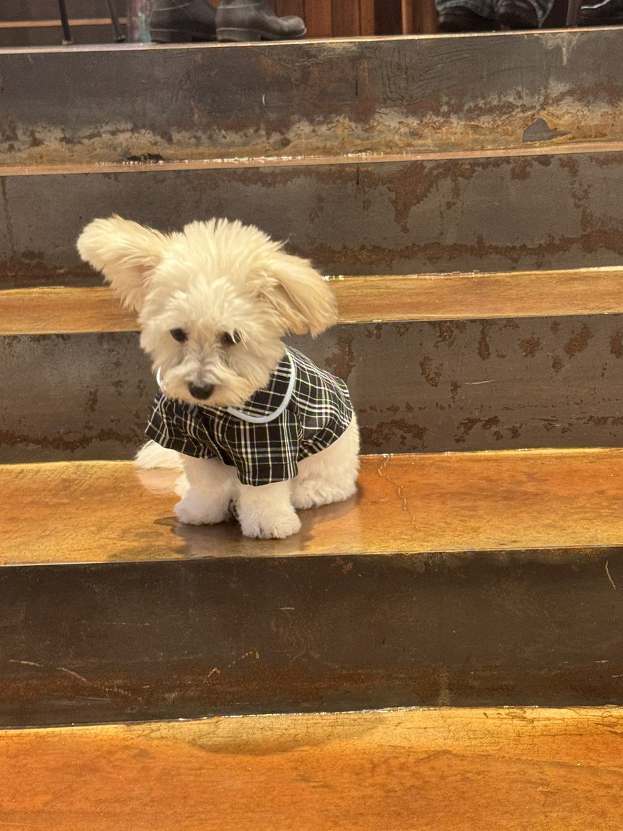 purrin1003's tweet photo. 갤에서 보신분들 많겠지만 하츠사진 올려요💖 https://t.co/ihmMc3qIQg