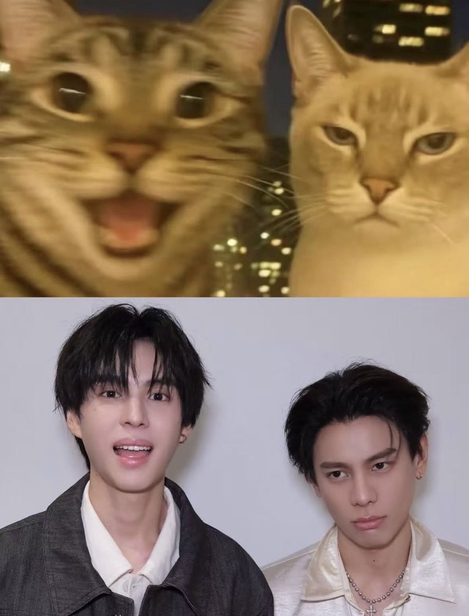 davinci_raw's tweet photo. ละเหมือนจริง น่ารักกกก 😽😼

#FoolInLove #copterbank 
#bankartit #copterntp https://t.co/8OJgVGvqxL