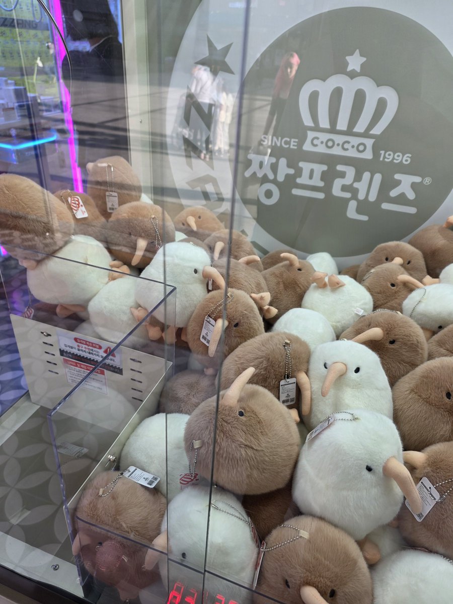 dorychey's tweet photo. 신상이 나왔네 https://t.co/WM2do6Vap3