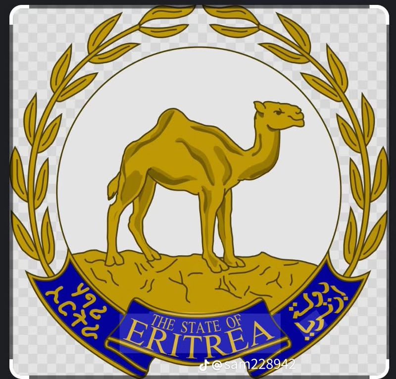 AlmazHm1's tweet photo. @UNinEritrea @nahlav @ITUAfrica @ITU Keep up the hard work https://t.co/rVMapoDqh2