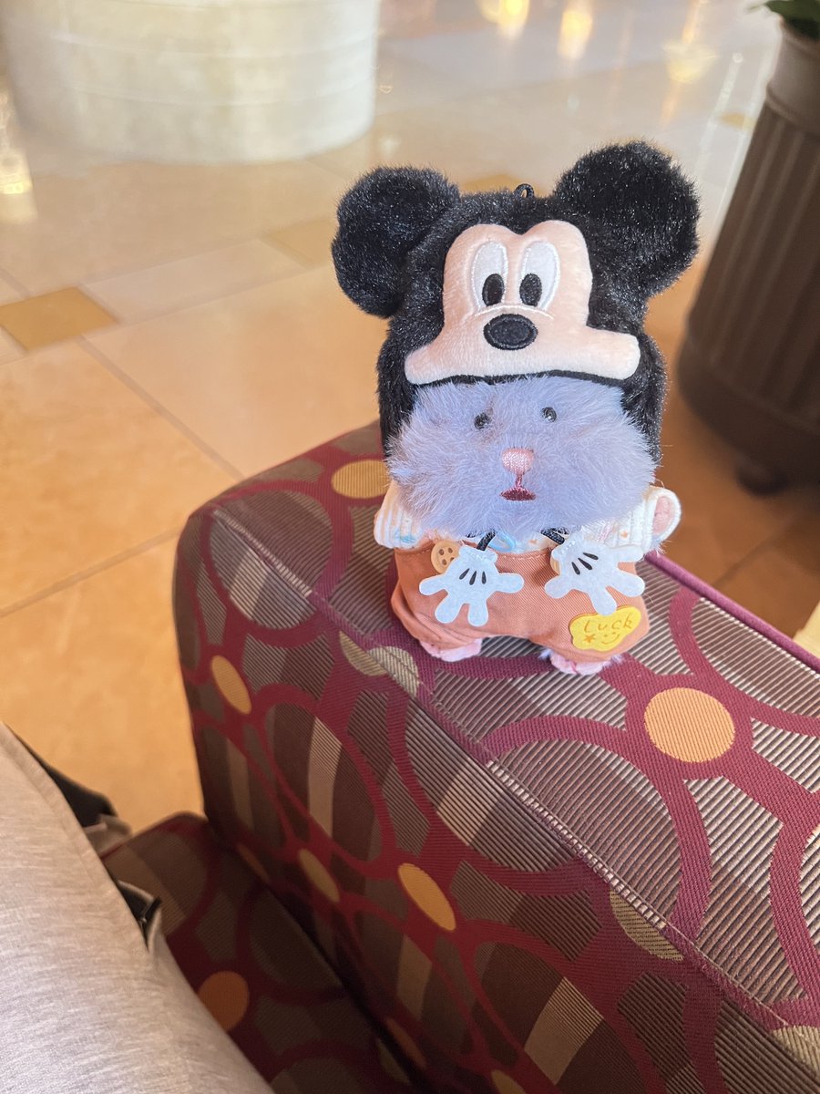 LV__8's tweet photo. でずにうかれおはむ https://t.co/zDd6NMlbz1
