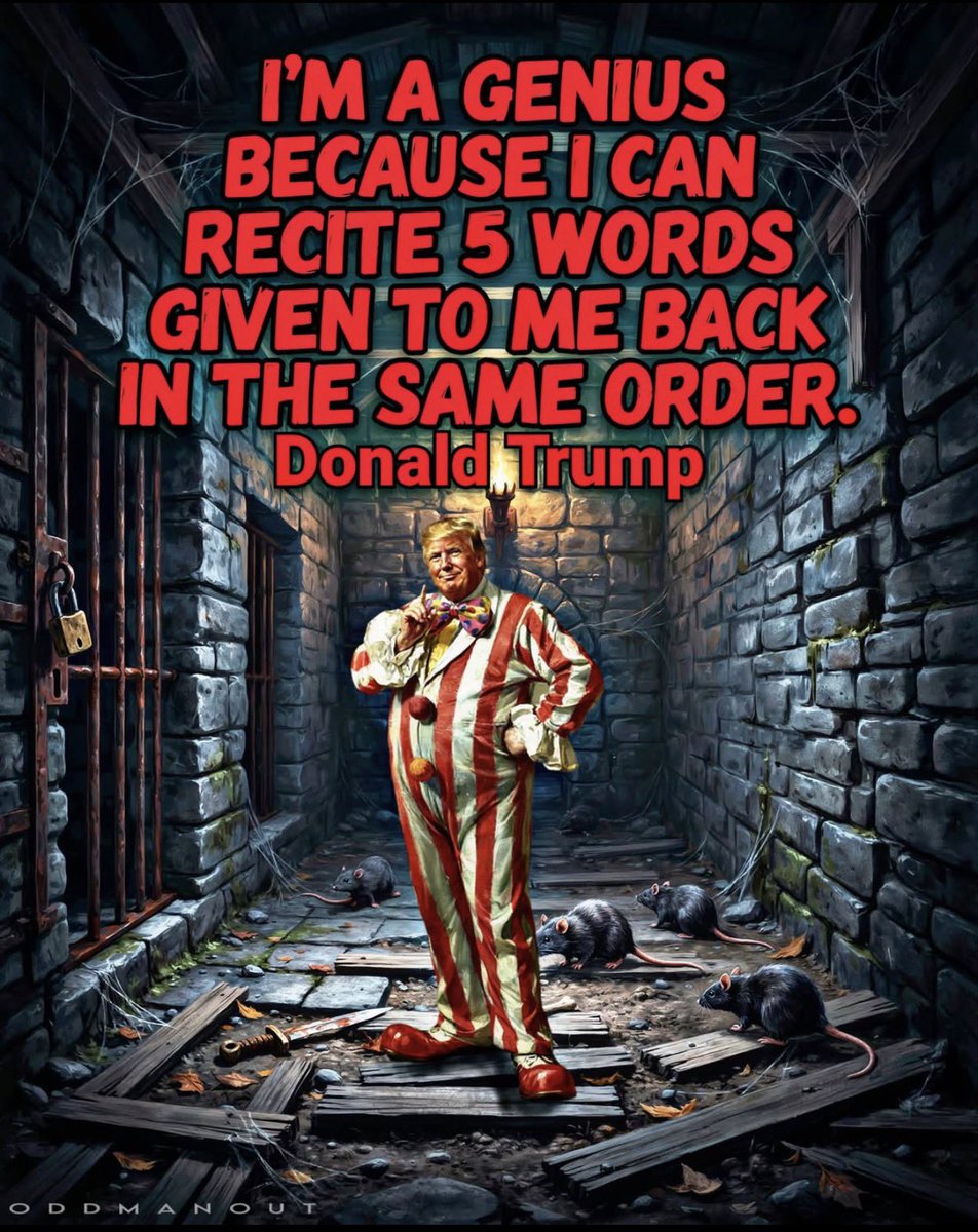 putneyswope7's tweet photo. @bennyjohnson Oh Benny Lil @SecMullinDHS uneducated plumber has Zero.
Why are you so obsessed with a female member of Congress of color?
Because you are racist and a bigot
And a criminal plagiarist

#TrumpCaligulaOrgyCorruption
#TrumpismIsDead
#MAGAisDead https://t.co/x4Ns7110dO
