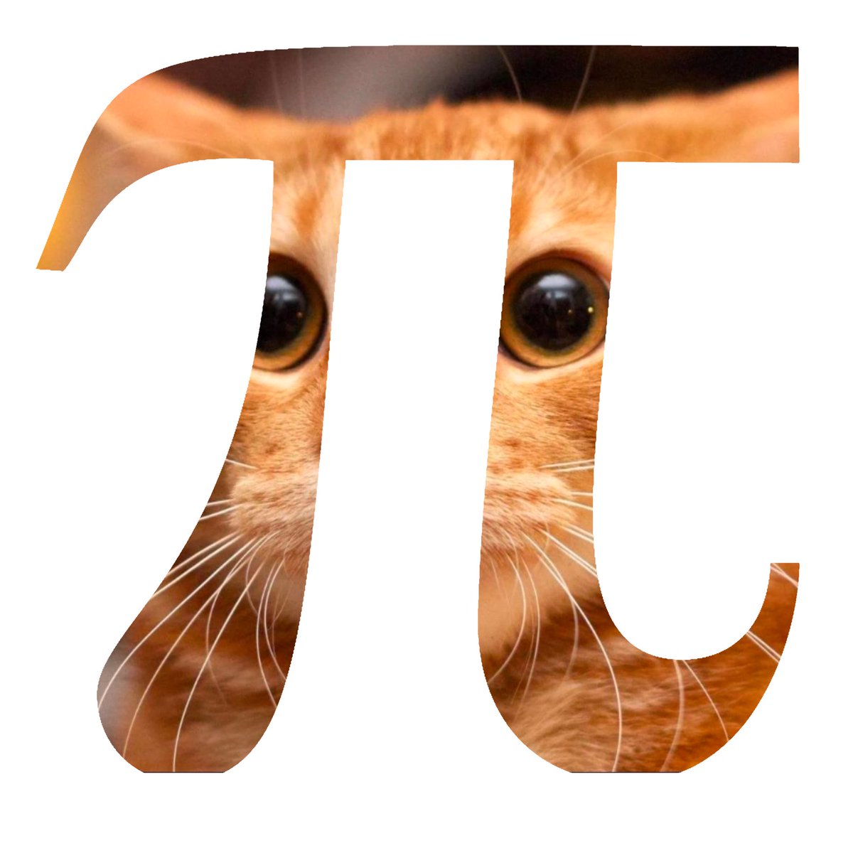 delirosss's tweet photo. scientists reveal the pi: https://t.co/3Ym0ytFoXJ