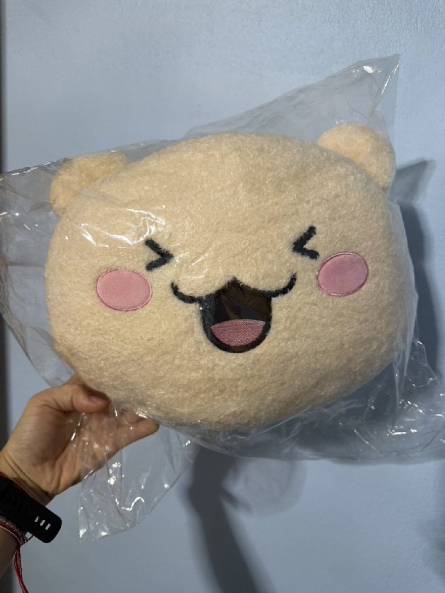 PCN_HA_A's tweet photo. WTS-หมอน Ruru (ป้ายห้อยครบ)

ราคา 490 บาทรวมส่ง
สนใจ DM นะคะ
#ตลาดนัดtruz  #ตลาดนัดเทรเชอร์ #ตลาดนัดสมบัติ https://t.co/jIc1AdO5SY