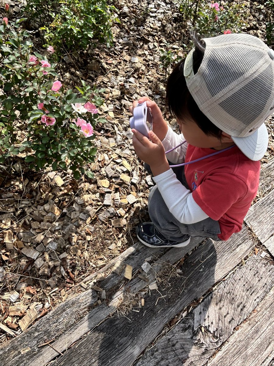 mitonxx's tweet photo. 母と子たちとバラ🌹祭り？行ってきたけどあんまり咲いてなかったー😭😭
この時期だとこんなもんかな？GWら辺にまたリベンジ！ https://t.co/wjbF74KbFB
