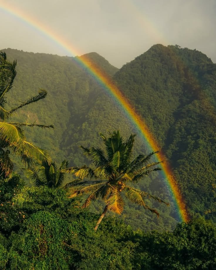 reminiscinbby's tweet photo. Jamaica https://t.co/RwiMixceaZ