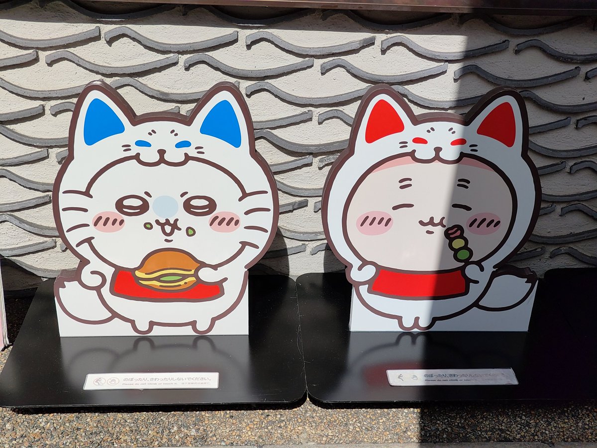 remi5884's tweet photo. 京都でランチ〜🥰(平日だったけど京都はめっちゃ人多い) https://t.co/fGEdK4AxaA