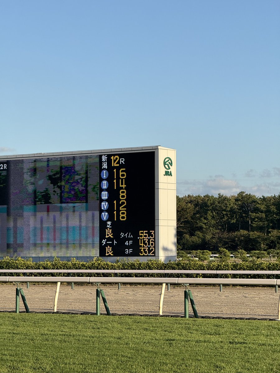 kinoconid's tweet photo. 1000直で明日の応援馬券代くれたから新潟競馬場好き https://t.co/iVbrpFPwsa