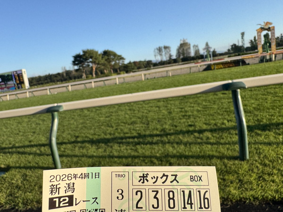 kinoconid's tweet photo. 1000直で明日の応援馬券代くれたから新潟競馬場好き https://t.co/iVbrpFPwsa