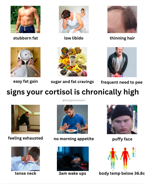 timpjohansson's tweet photo. chronically high cortisol makes you fat, tired and ugly.

fix your cortisol. fix your life. https://t.co/1cFXIwAKBk