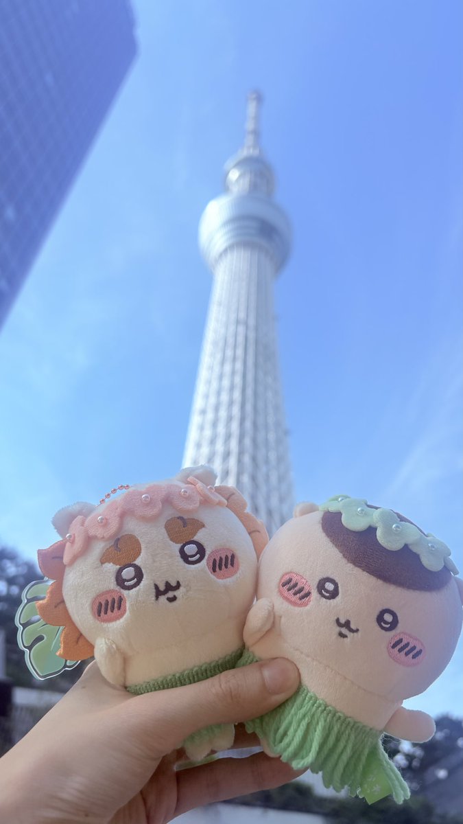 tm_a0i's tweet photo. 色々 https://t.co/dgwyPDNXiY