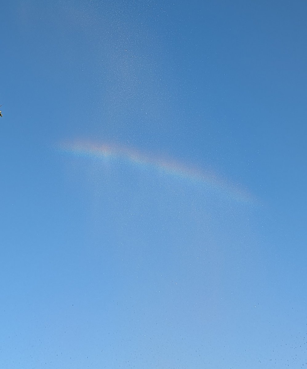 rivhiro's tweet photo. 噴水で人工的に青空にできた虹が美しすぎる✨️
#空のアルバム https://t.co/6lF44F8iba