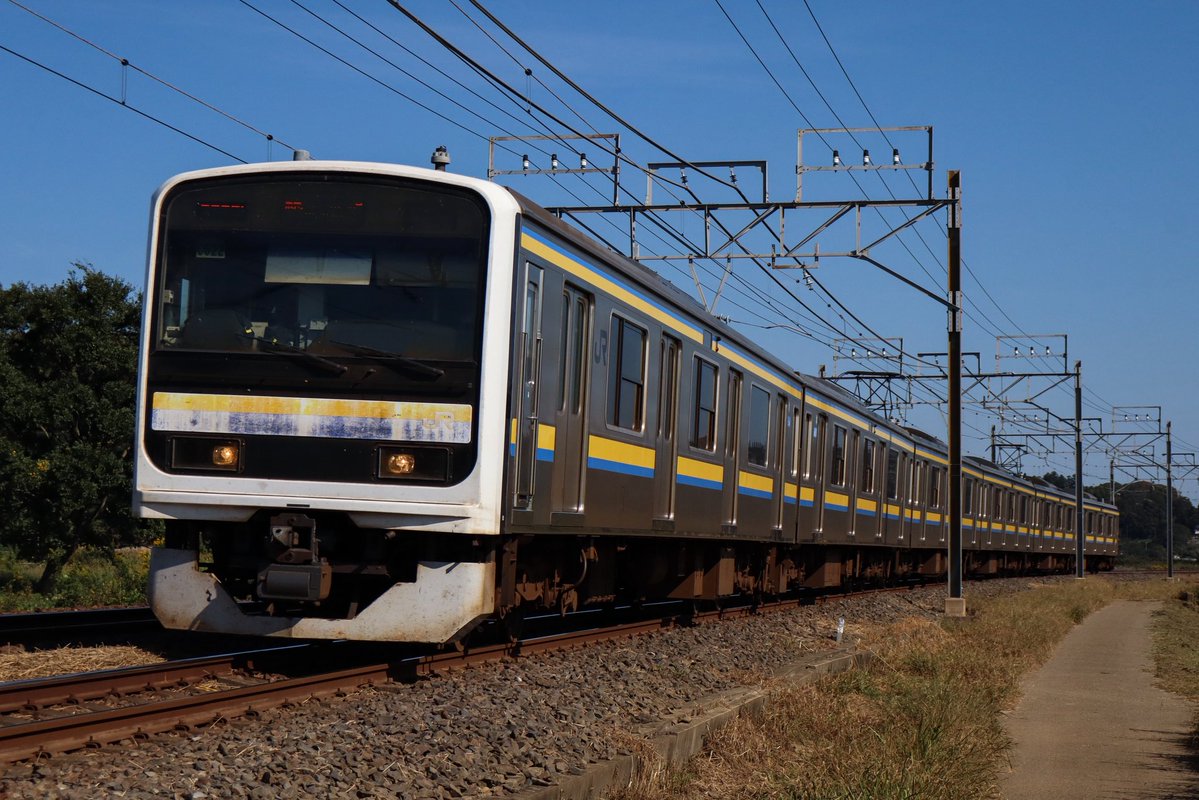 TD_8172's tweet photo. モノサク日常
209系8sが撮れてとても満足。同業者の方々、お話楽しかったです。ありがとうございました。
2026 10/17 https://t.co/TTSuhabWJ5