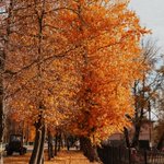 Photo by хозяин подвала (@RumurT)