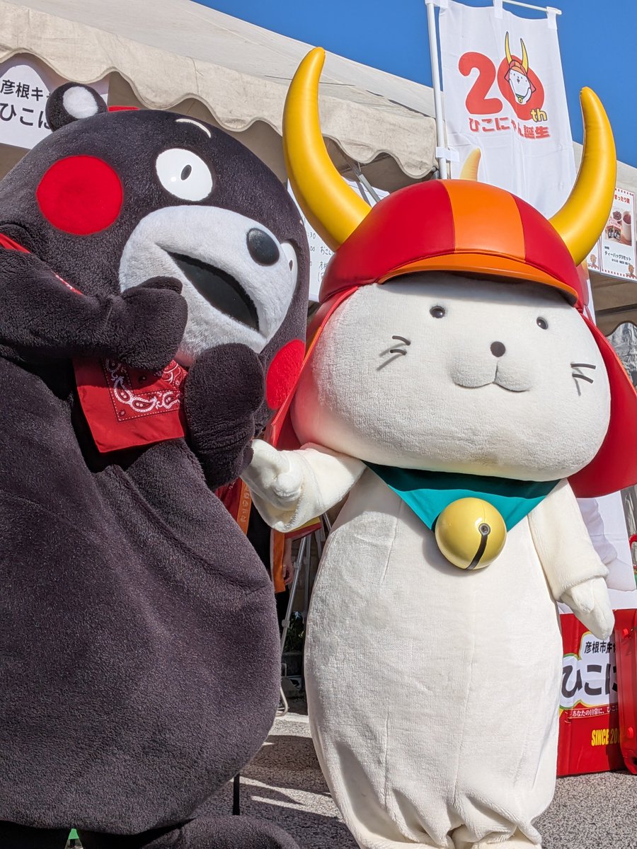 ujyu0401's tweet photo. ひこにゃん先輩を拝んでいたら、くまモンが遊びに来てくれた！
お写真の前にくまモンに毛並みを整えてもらうひこにゃん可愛いし、くまモン優しい！！
この2ショットが見られるなんて良い日だ🌞
#ひこにゃん
#くまモン
#ご当地キャラ博2026 https://t.co/QlUSWhe1FS