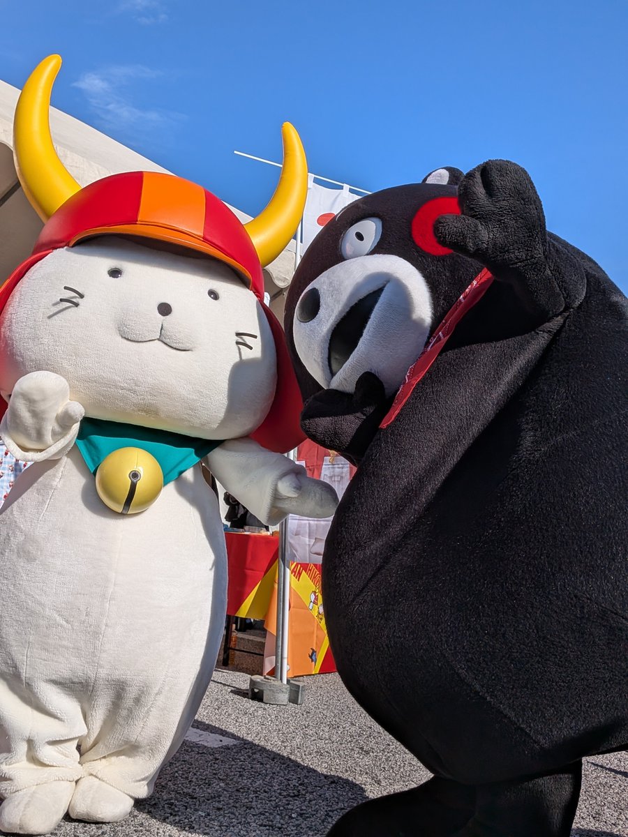 ujyu0401's tweet photo. ひこにゃん先輩を拝んでいたら、くまモンが遊びに来てくれた！
お写真の前にくまモンに毛並みを整えてもらうひこにゃん可愛いし、くまモン優しい！！
この2ショットが見られるなんて良い日だ🌞
#ひこにゃん
#くまモン
#ご当地キャラ博2026 https://t.co/QlUSWhe1FS