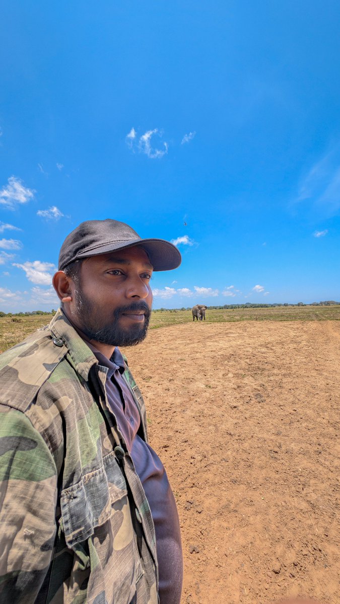 de_thisura's tweet photo. තුවාලෙකට බෙහෙත් වැරදියට දීපු නිසා කාවන්තිස්ස මැරුණද? 
.
පොඩි කතාවක් කියන්නම්..අප්‍රේල් වල training ඉන්න කාලේ ගියා මම වාකරේ හද්ද දුෂ්කර පැත්තකට distress call එකකට අලියෙක් ඉන්නවා කියලා bullet wounds එක්ක...හෙන ගේමක් දීලා on foot කැලේ chase කරලා අලියව හොයාගත්‍තා.. Sedate කළා, අඩි 8ක් උස ටොන් 2.25කට ආසන්න වැඩිහිටි පිරිමි සතෙක්..
.
තුවාල බලනකොට ඒ වෙඩි වලට එයාගේ වම් අතේ humerus අස්ථිය බිඳන්නම වෙඩි කීපයක්ම තියලා, එයා ඒ කකුලට බර දෙන්නෙ නෑ..ඒ අනුව අපි තීරණය කළා මෙයා අවසන් අඩියේ lameness behavior එකක් පෙන්නනවා කියලා...කට්ට අවුවේ අපේ කණ්ඩායම අලිමංකඩේ උපරිම අවදානමක් අරන් තුවාල ඔක්කොම සුද්ද කළා. වේදනාව දරාගන්න බැරි නිසා මෙය දිගටම මඩේ ඉඳලා තියෙනවා ගිලිලා..ඒක නිසා එයාගේ කකුල් 4ම කුර කුණු වෙලා..ඒවත් ඔක්කොම කපලා සුද්ද කළා..🌟
.
එතකොට හරිද?? කොහෙත්ම නෑ..
.
තුවාල අඩුම ගානේ සති දෙකක්වත් දෛනිකව සුද්ද කරන්න ඕනේ..Antibiotics සතියක්වත් දෙන්න ඕනේ..ඒත් ප්‍රශ්නය විසඳෙන්නෙ නෑ..ටොන් 2ක අලියෙක්ගේ කකුලක අස්‍ථියට ඇණ, කම්බි දාලා ඒ අස්ථිය හදන්න ඕනේ..ඊට පස්සෙ සති 4ක් අවම වශයෙන් ඒ implant eka fail වෙන්න් නොදී එයාව උස්සලා තියන්න ඕනේ..
.
ලංකාවේ දෛනිකව අඩුම 1 අලියෙක්වත් වෙඩි පාරකට ලක් වෙනවාමයි. මේ විදිහට වෙඩි තියන සැරයක් සැරයක් ගානේ වෛද්‍යවරයෙක් විදිහට අපි මොකද කරන්න ඕනේ?? ඒකට පිළිතුර හොයන්න බැරි නෑ..ඒත් Vet ට බනින එක ඊට වඩා ලෙසියි. "ඌ කතා කරන්න දන්නේ නෑ, මට ඉසුරු හිනා උන විදිහ ඇල්ලුවේ නෑ..භාතියවත් මැරුවා" ..චෝදනා පත්‍රයක් එතන..
.
මම තරුවක් දාපු තැන ඉඳලා පහළට තියෙන්නේ සිද්ධාන්තමය වශයෙන් නිවැරදි ඒත් ප්‍රායෝගිකත්වයෙන් සුරංගනා කතාවක්..මේ වගේ ඉතා සංවේදී අවස්ථාවක මම මේ කියන කතාව මගේ වෘත්තීය සගයෙක් බේරගන්න කියලා මට හංවඩු ගහන්න එන්න එපා..මම වෛද්‍ය ඉසුරු කියන්නේ කවුද කියල හොයාගත්‍තෙත් දවස් 2 3කට කලින්. 
..
ඒත් කැලෑ අස්සේ බෙහෙත් පෙට්ටි, තුවක්කු, මිලි 450 සේලයින් බෝතල් 30 දාපු පෙට්ටි 3-4 කරේ තියන් පයින්ම ලෙඩ උන ඇතා හොයන්, ගම් බූට් දාගෙන, කටු පඳුරු, මඩ ගොහොරු අස්සෙන් රිංගලා කි.මී 10-15 එක දිගට ඇවිදලා, තමන්ගේ ජීවිතය ගැනවත් නොහිතා වැඩ කරන ඒ වෘත්තිකයන්ව මේ විදිහට දෙකේ කොළේට දාලා විවේචනය කරන්න යන්න එපා.. වෙලාවට ජීප් වලට ඩීසල් ටිකවත් dispatch නොකරන මාසෙට රුපියල් 110000ක් ගෙවන පඩියකට රාජ්‍ය සේවයේ යෙදෙන ඒ වෛද්‍යවරයා ඇතුලු සුවහසක් වනජීවී නිලධාරීන්, අඩවි වන නිලධාරීන් කොටි, නයි පොලොංගු, කිඹුල්ලු මැද්දෙන් ගිහිල්ලා කරන වෘත්තීය කටුකත්වය සමාජ මාධ්‍යයේ ඒ ක්‍රියාදාම විවේචනය කරන් අය දකින්නේ නෑ.. දැක්කට පිළිගන්නේත් නෑ..එච්චර කුහකයි..
.
කාවන්තිස්ස..වෙඩි පහර වලට ලක් උනා..බෙහෙත් කළා..ඒත් Laterally Recumbent..අවාසනාවන්තයි.. සතුන්ට වෙඩි තියන වින කටින කාටවත් මින් මතු මනුස්ස ආත්මයක් නම් නෑ...
.
සංවේදී සිදුවීම් එක්ක එළියට එන ෆේස්බුක් සමාජ ජාලා විශේෂඥ උපදේශන වලින් සන්නද්ධ වෙලා ඇවිල්ලා වටේම විවේචනය කරන්න කලින්..එක දවසක් ඒ නිලධාරීන් කරන කැපකිරීම කරලා බලන්න...එතකොට තේරුම් ගන්න පුලුවන්..
.
(පහලින් තියෙන්නේ කාවන්තිස්ස ළඟ අන්තිම වෙනකන් හිටපු මගේ යාලුවෙක් කියන කතාව. )