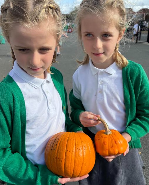 HurstParkSchool's tweet photo. Autumn fun at OPAL playtime! 🎃🍂 Our children embraced the season with adventurous outdoor play—scooping and exploring in our pumpkin area and even building an imaginary fire pit! Fantastic collaboration, creativity, and self-directed discovery in action. 🪵✨ @LEOacademies https://t.co/UUWyJPwq2L