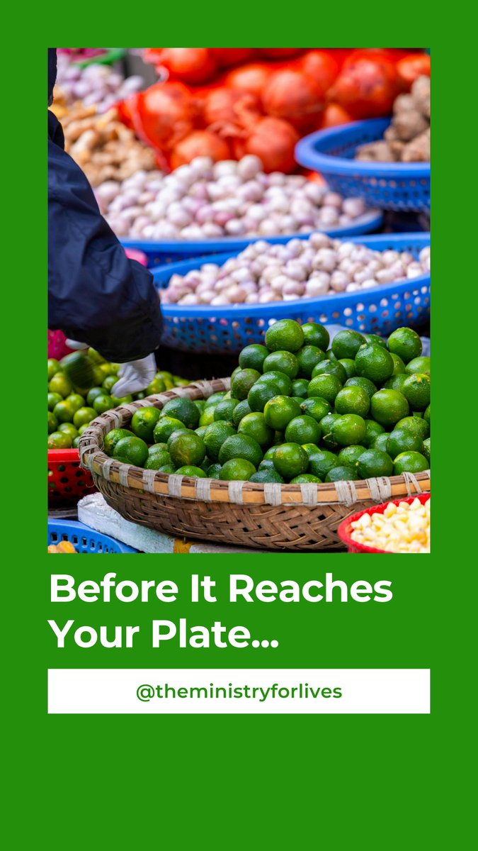 ministryforlive's tweet photo. Before It Reaches Your Plate...

Someone planted it.
Someone watered it.
Someone harvested it.
Someone transported it.
Someone sold it.
Someone prepared it.

And finally... https://t.co/eQEg3ydYSO