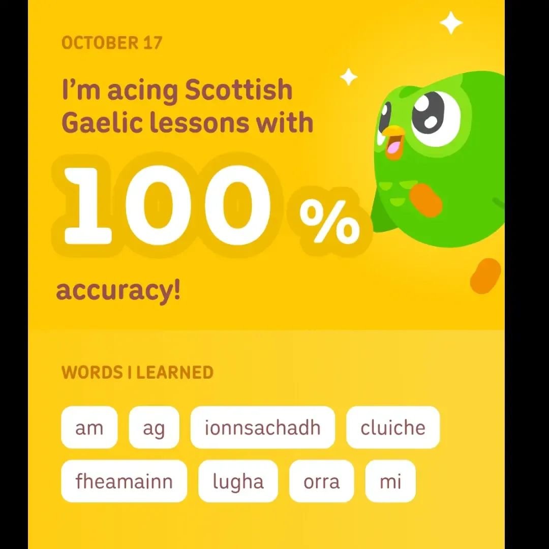 SilviaIsabel10's tweet photo. Es gratis si se da tiempo a los avisos
Atrayente y me aleja los dolores de una mitad de la cabeza.
Se puede aprender muchos idiomas con instrucciones en varios.
Sigo gaélico escocés desde el inglés. https://t.co/JrBitiMUzX