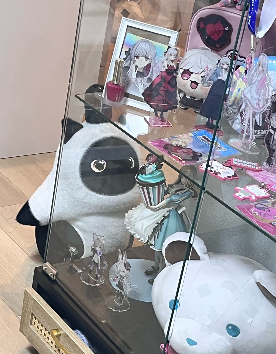SabuKashikaze's tweet photo. ｼﾞ-… https://t.co/VA4srYYilw