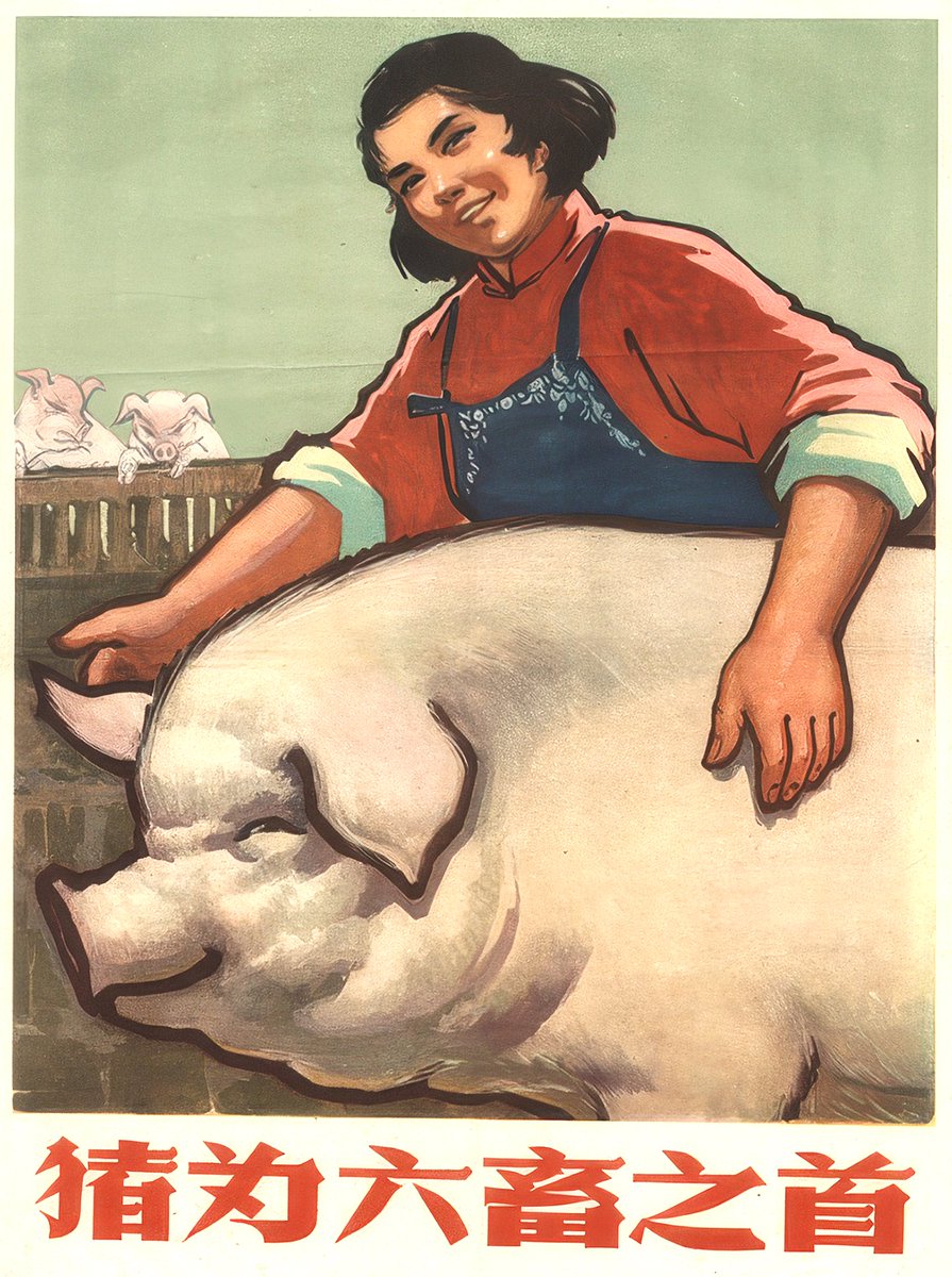 GarlicCorgi tweet picture