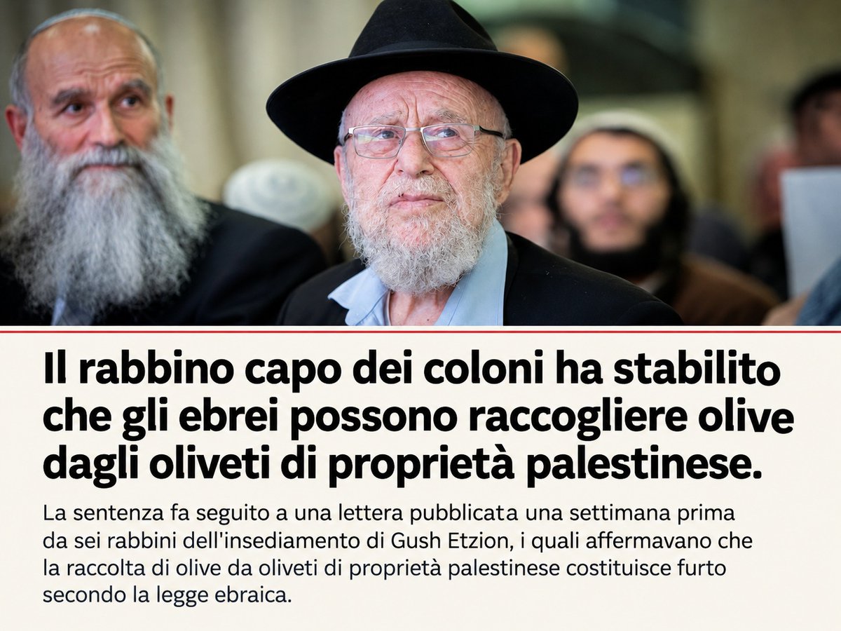 Inchiostrodg's tweet photo. Non rubare. Per le deroghe, chiedere al rabbino Dov Lior: ha autorizzato la raccolta delle olive palestinesi per affermare il possesso della terra. Altri rabbini lo condannano: è furto. Il fanatismo serve a questo: porti via il raccolto e ti senti giusto. Chi difende il proprio campo diventa un nemico di Dio. Così si incoraggia il saccheggio, si impoveriscono famiglie e si spingono i palestinesi ad andarsene. Con la coscienza pulita.

#Palestina #Cisgiordania #NoAlFanatismo #StopOccupazione
