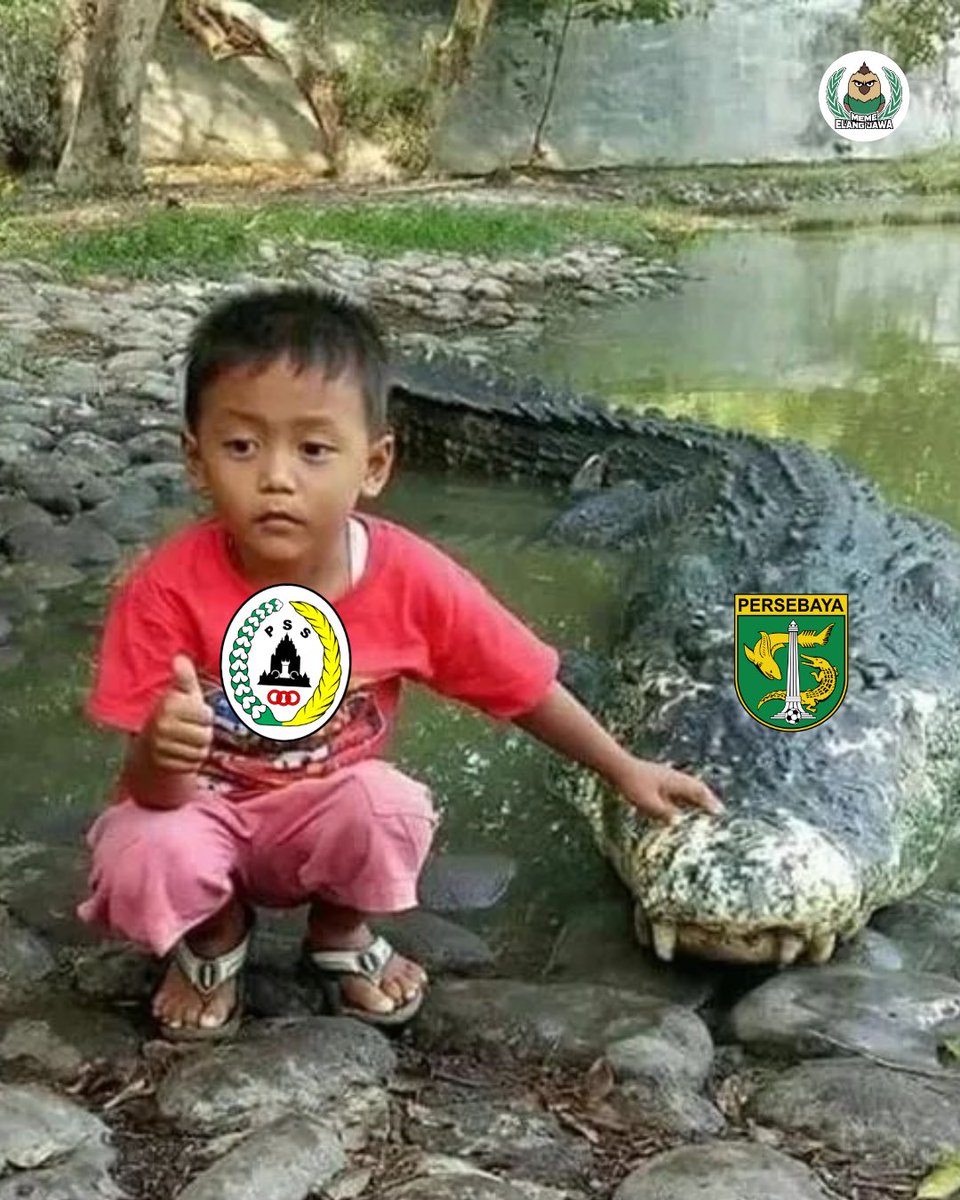 meme_elangjawa's tweet photo. h-1 menjinakkan buaya di kandangnya
#kulonuwunsurabaya https://t.co/ngZ7tiVZZN